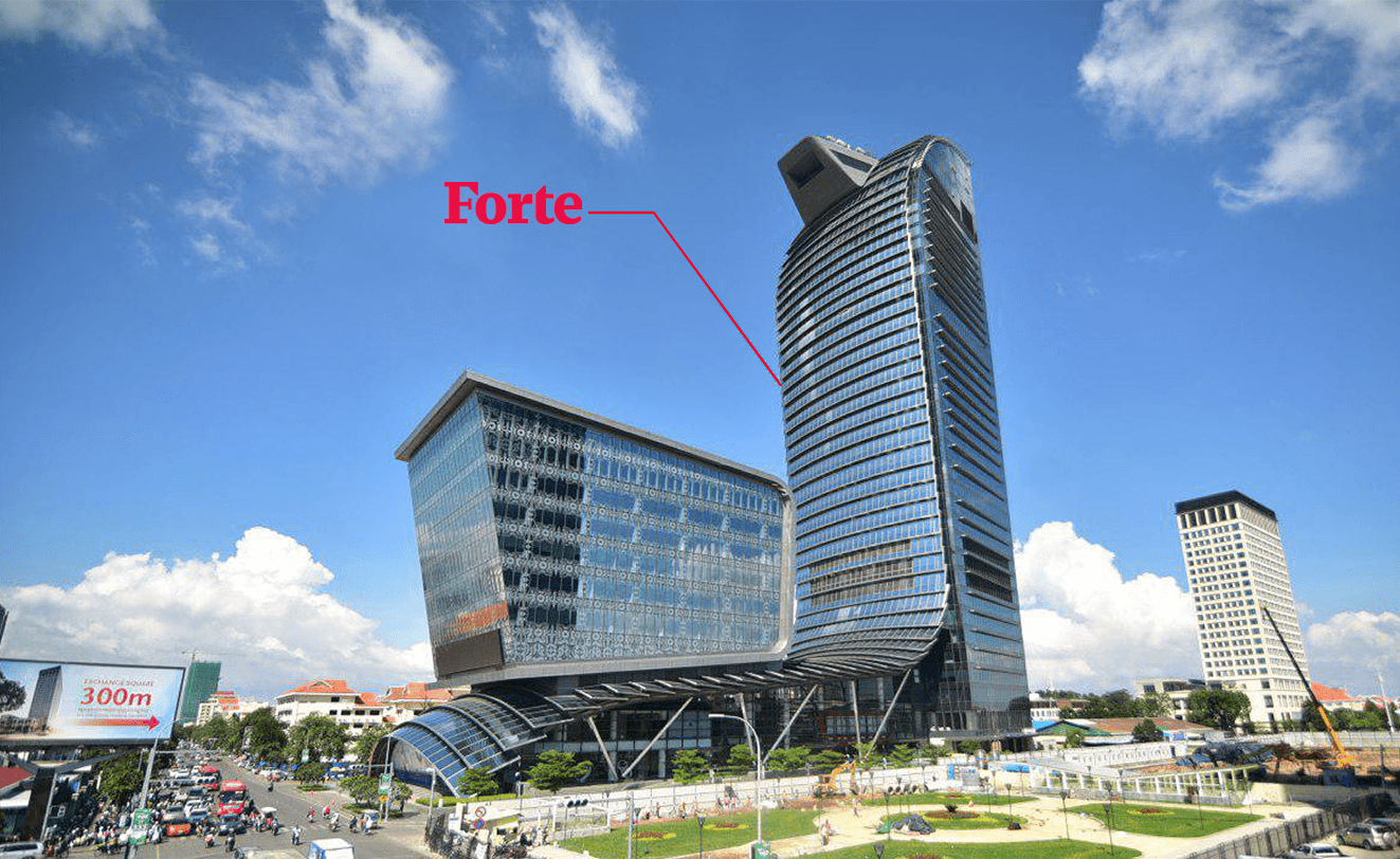 Forte partnership visual